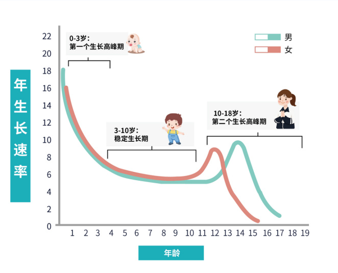 关于23个月宝宝的身高发展，探索生长规律与影响因素