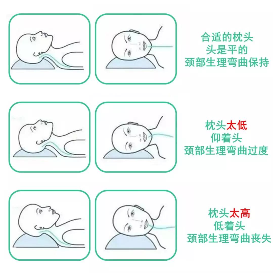 两个月枕枕头的深度体验与感悟