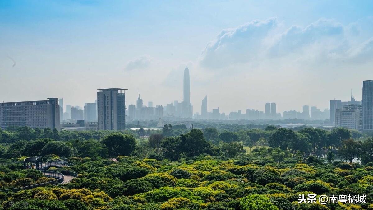 广东省住建厅招标办，推动建筑领域持续健康发展的关键力量