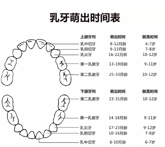 六个月宝宝的成长里程碑，身高达到70厘米