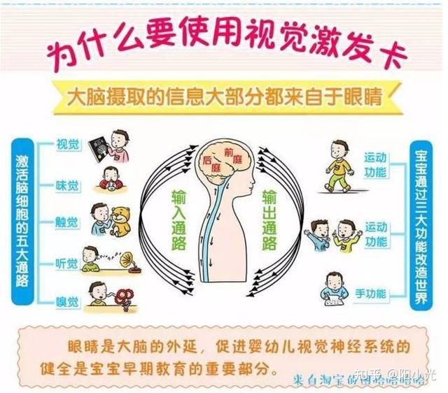 宝宝几个月能看到人及其视觉发展研究