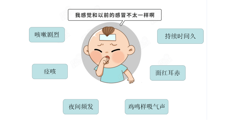 婴儿咳嗽应对指南，几个月大的宝宝如何应对咳嗽问题